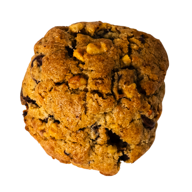 Walnut and Dark Chocolate Cookie